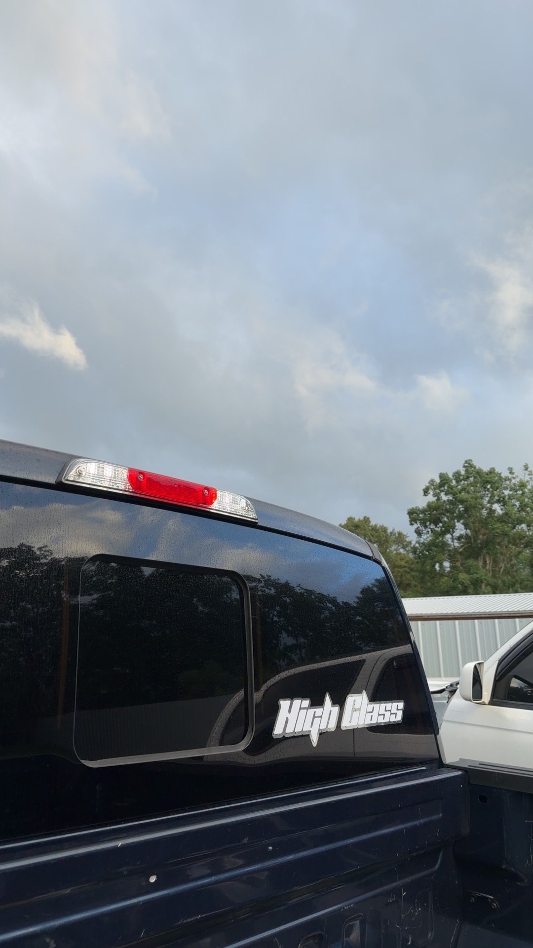 HighClass Duck Decal, photo 3